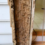 wood damaged by termites